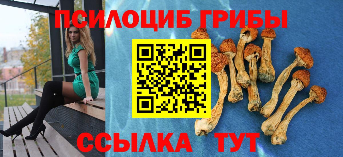 купить   Псилоцибиновые грибы MAGIC MUSHROOMS  Вход с VPN  Йошкар-Ола 