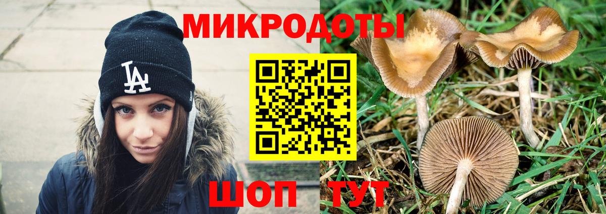 Галлюциногенные грибы Psilocybe Йошкар-Ола